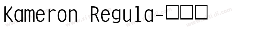 Kameron Regula字体转换